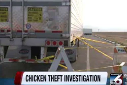 best chicken trailer