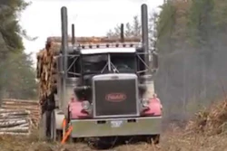 logging trucks