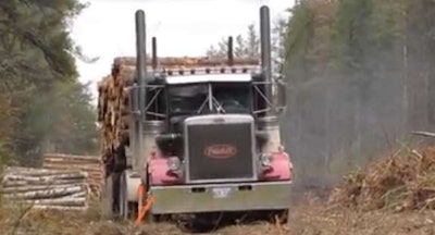 logging trucks