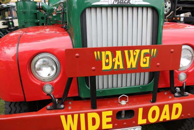'Dawg'
