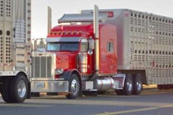 livestock exemption