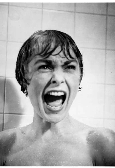 Psycho (1960)
