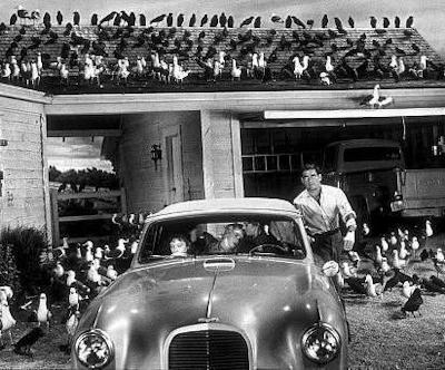 The Birds (1963)