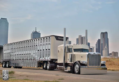 Working Combo champion: Phil Miller, 2010 Peterbilt 389/Wilson livestock