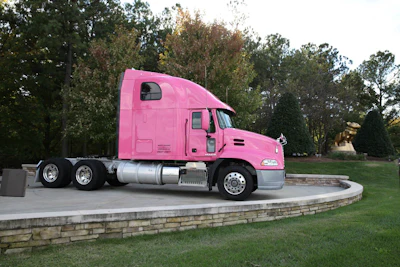 Pink Mack Pinnacle 14