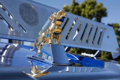 Truck Gold Tiger