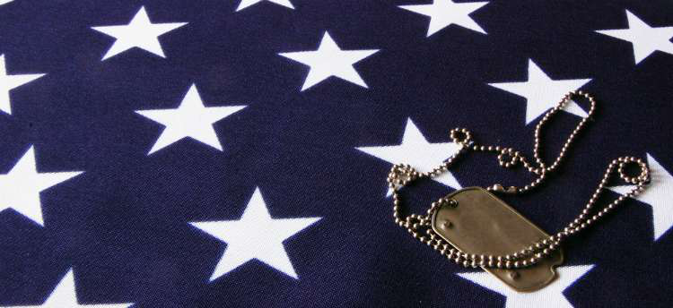 veterans day 2015