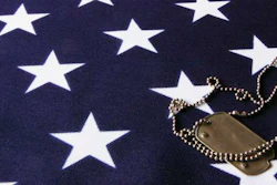 veterans day 2015