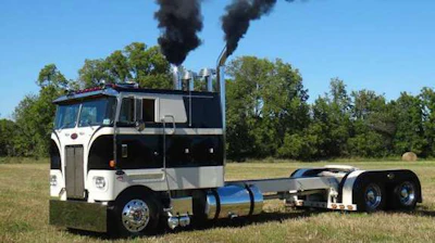 black-coe