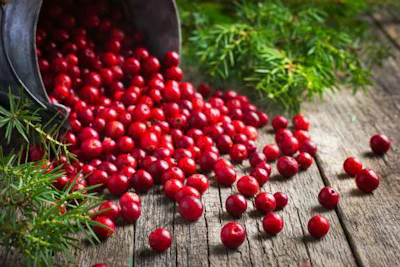 Cranberries: A superfood for the season