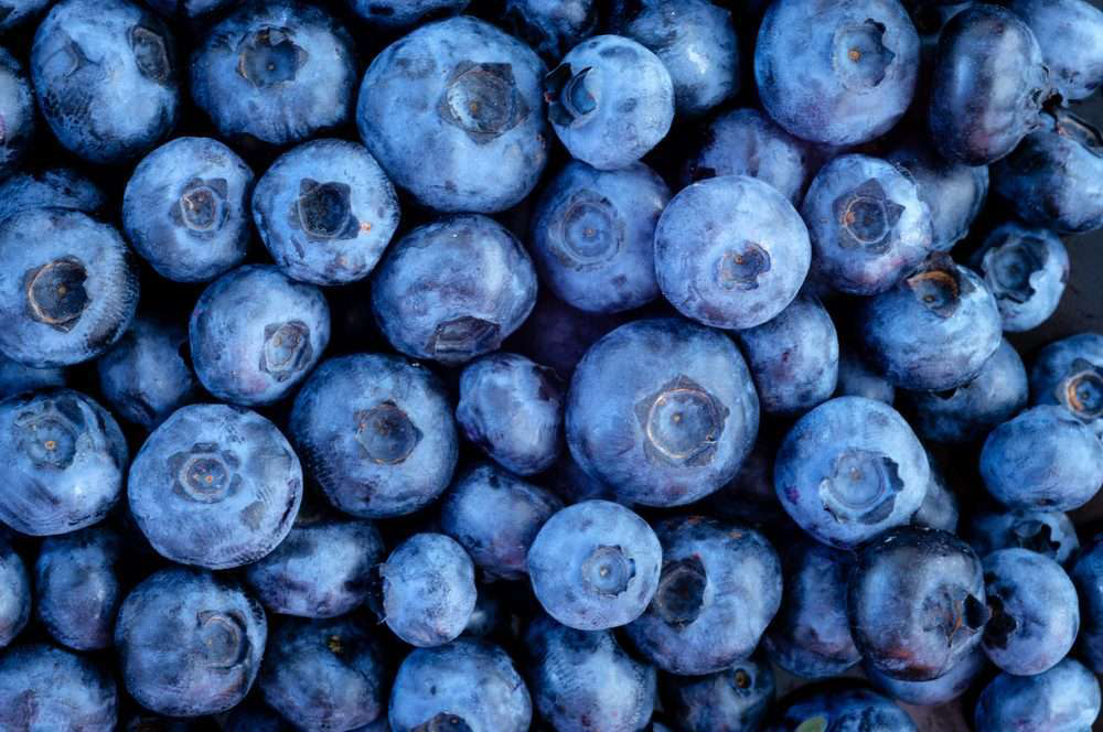 Blueberries are full of phytonutrients that neutralize free radicals, which cause aging and cell damage. The antioxidants may also protect against cancer and reduce the effects of age-related conditions like dementia.