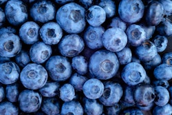 Blueberries are full of phytonutrients that neutralize free radicals, which cause aging and cell damage. The antioxidants may also protect against cancer and reduce the effects of age-related conditions like dementia.