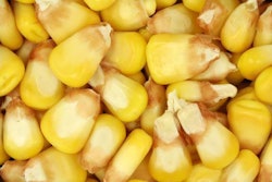 corn