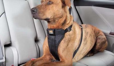 Tru-Fit harness keeps your dog safe in your truck or car.