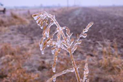 An ice storm caused power outages and driving difficulties in Oklahoma recently.