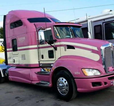 One of Carol Schneider's past trucks. (Image Courtesy of Carol Schneider)