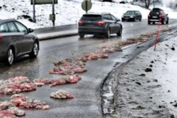 Animal parts on a highway in Norway. (Photo from The Local)