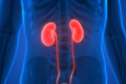 Kidneys