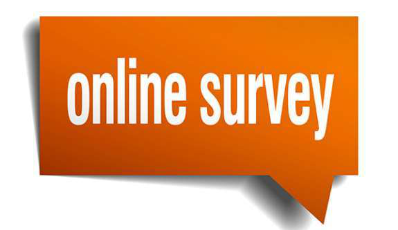 Online survey