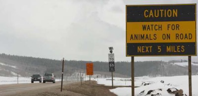 Wyoming Department of Transportation is testing changes to reduce vehicle-wildlife collisions.