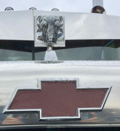 1978 Chevrolet Bison