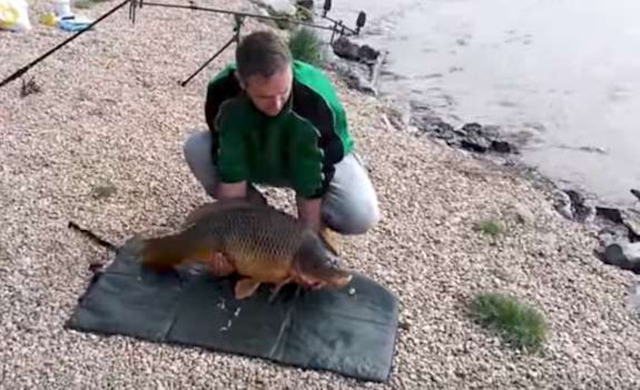 carp-escape