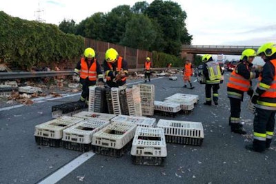 Members of the Saint Florian Fire Brigade round up chickens on an Austrian highway Tuesday. ((Saint Florian Fire Brigade photo))