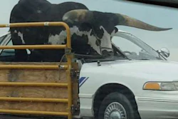 Steer-in-car