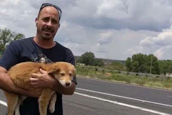 trucker-with-dog