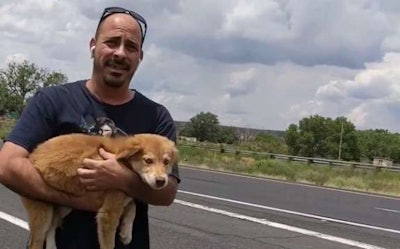 trucker-with-dog