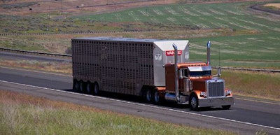 bull-hauler