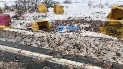 Herring spilled on the highway in Newfoundland, Canada. (Facebook photo by Greg James)