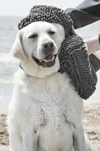 Use the Soggy Doggy Super Shammy to dry your dog.