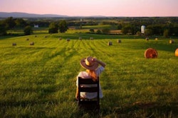 mary-chapin-carpenter