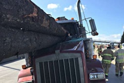 tacoma-logging-accident