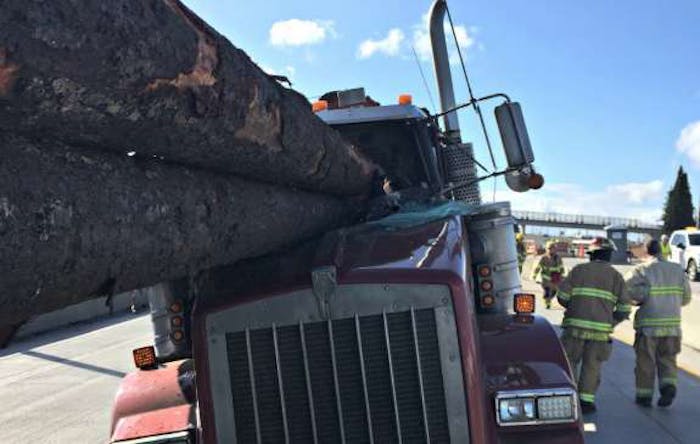 tacoma-logging-accident