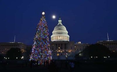 capitol-tree