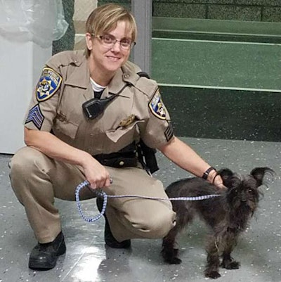 Sergeant Robyn Lescher and Daisy (CHP photo)