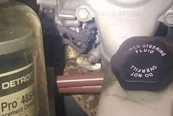 snake-mechanic