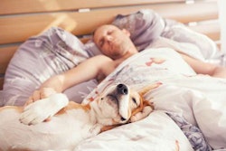 improve-your-sleep