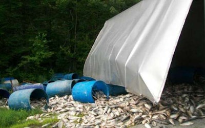 Some 35 barrels of fish spilled Thursday during a truck rollover in Maine. (Lincoln County Sherrif’s Department photo)