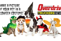 halloween-pets