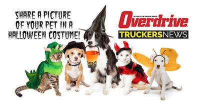 Animals dressed in Halloween costumes
