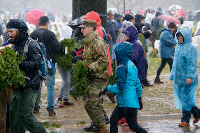 Pplw Wreaths 1