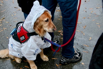 Service Dog Rain Coat 1