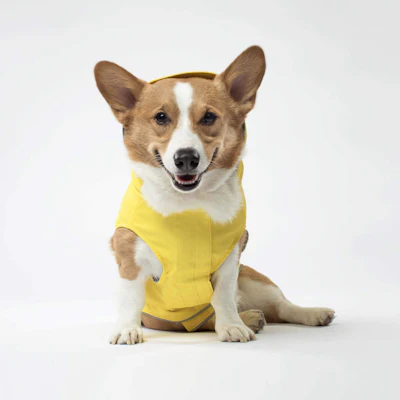 Canada Pooch Torrential Tracker raincoat $35