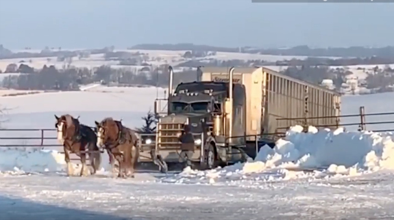 drat-horse-power