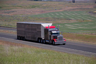 As the year wound down, haulers of livestock and insects were given a 'until further notice' exemption from the FMCSA from using electronic logging devices.