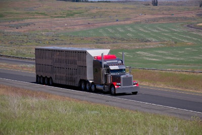 livestock-truck