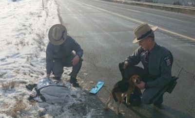 nys-police-dog-rescue